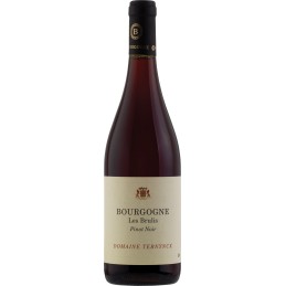 Bourgogne Les Brulis  Pinot Noir Domaine Ternynch