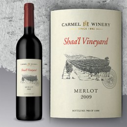 Carmel Single Vineyard Sha'al Merlot 2009