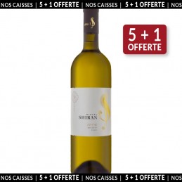 Shiran Unoaked Chardonnay 2020 (5+1 offerte)