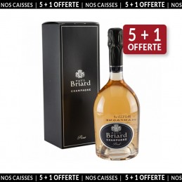 Champagne Paul Briard Rosé en Coffret Individuel (5+1 offerte)