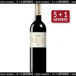 Jérusalem Vineyard Winery Premium Merlot 2018 (5+1 offerte)