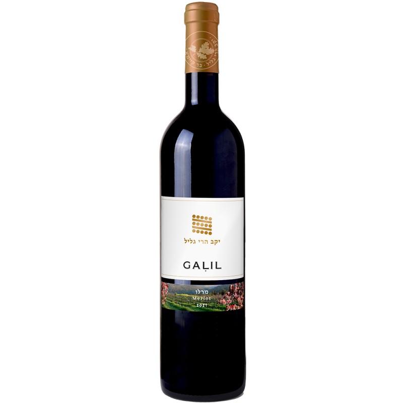 Galil Merlot 2022