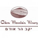 Odem Mountain 